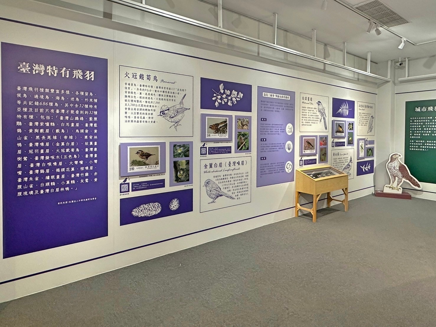 3.Feather Images Postage Stamps Special Exhibition