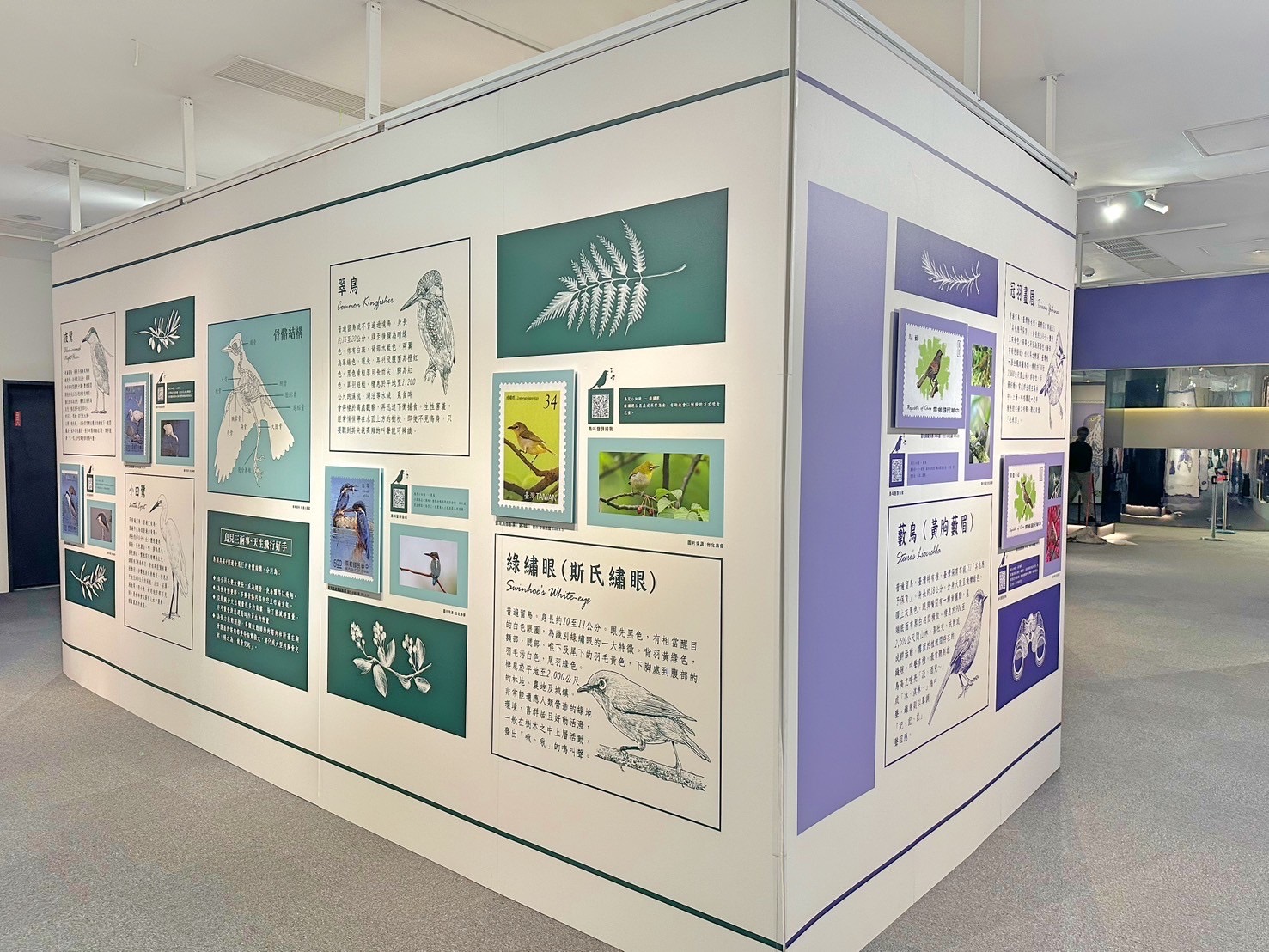 7.Feather Images Postage Stamps Special Exhibition