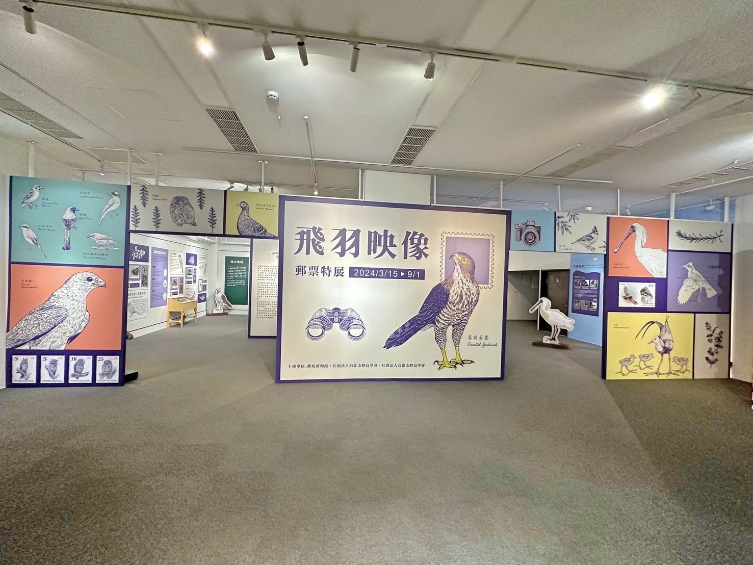 1.Feather Images Postage Stamps Special Exhibition