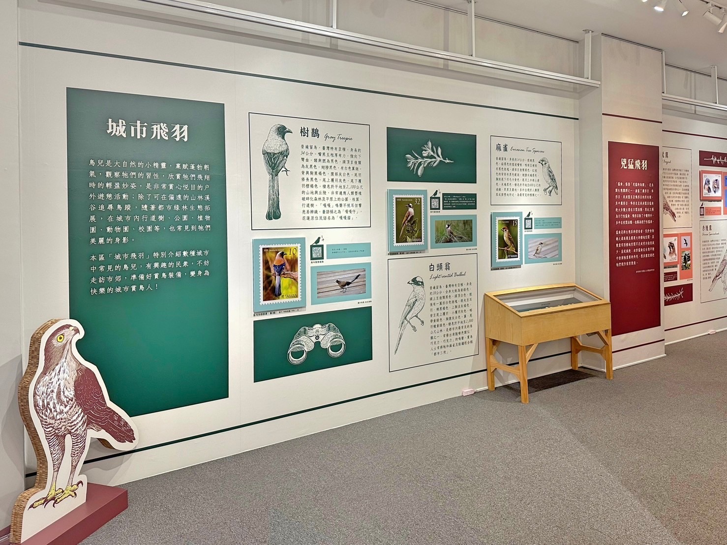 6.Feather Images Postage Stamps Special Exhibition