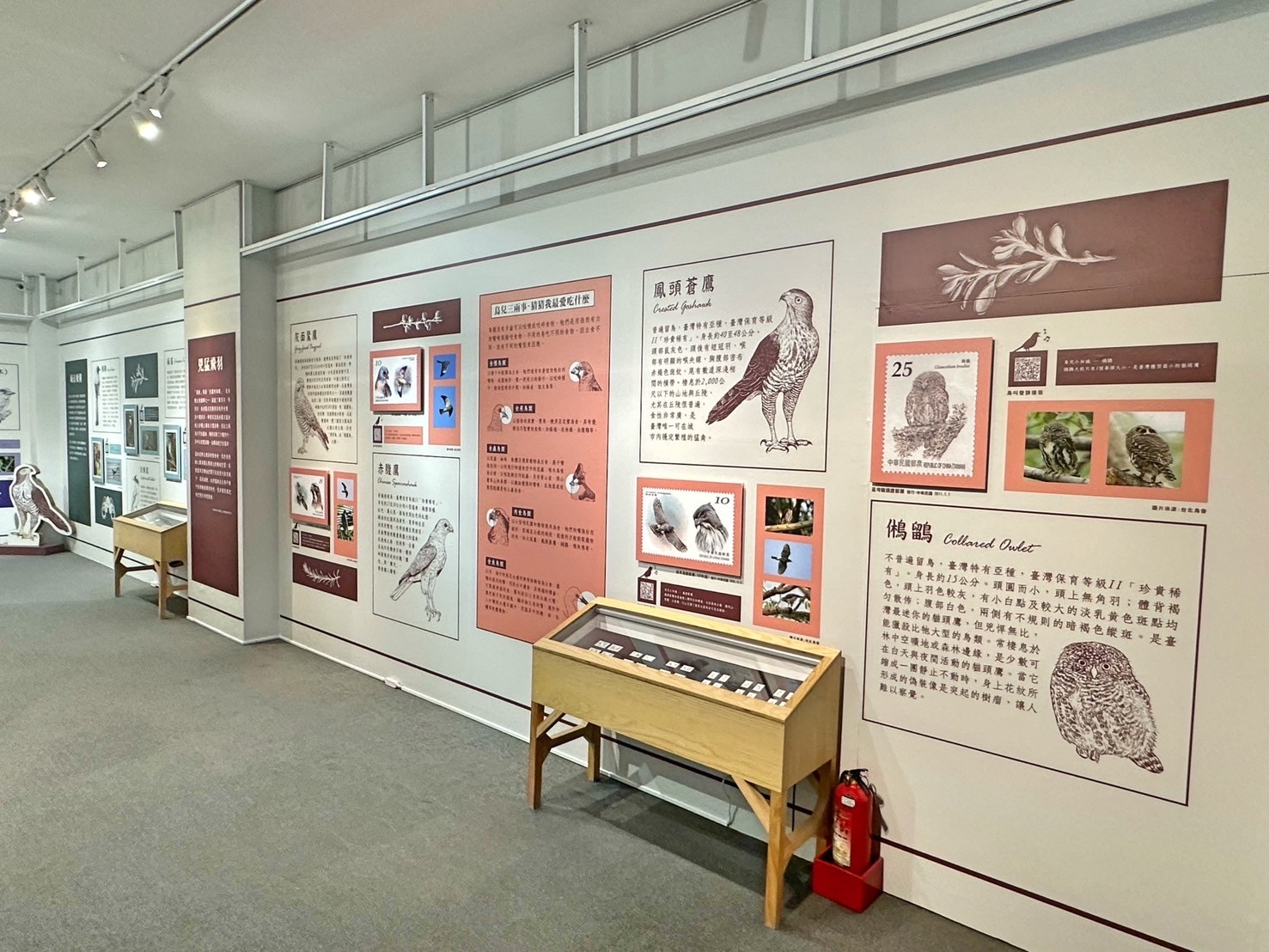 10.Feather Images Postage Stamps Special Exhibition