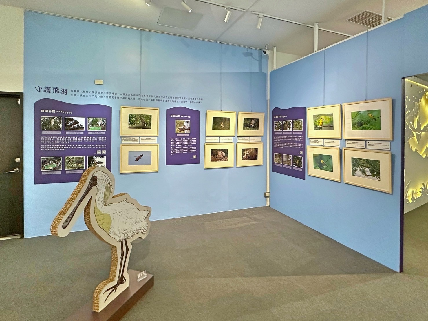 12.Feather Images Postage Stamps Special Exhibition