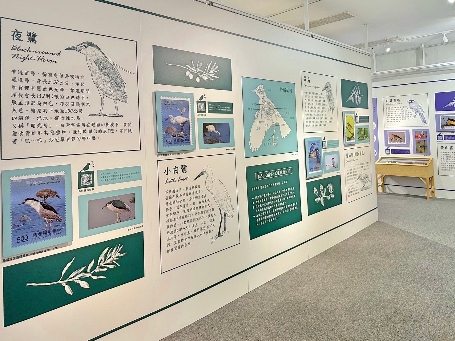 8.Feather Images Postage Stamps Special Exhibition