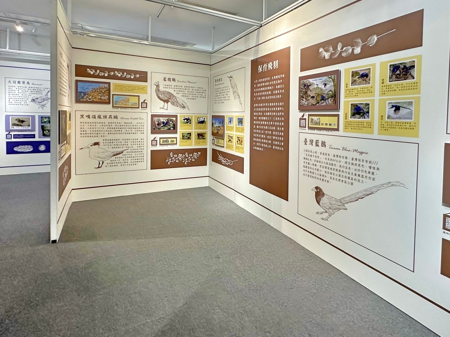 17.Feather Images Postage Stamps Special Exhibition