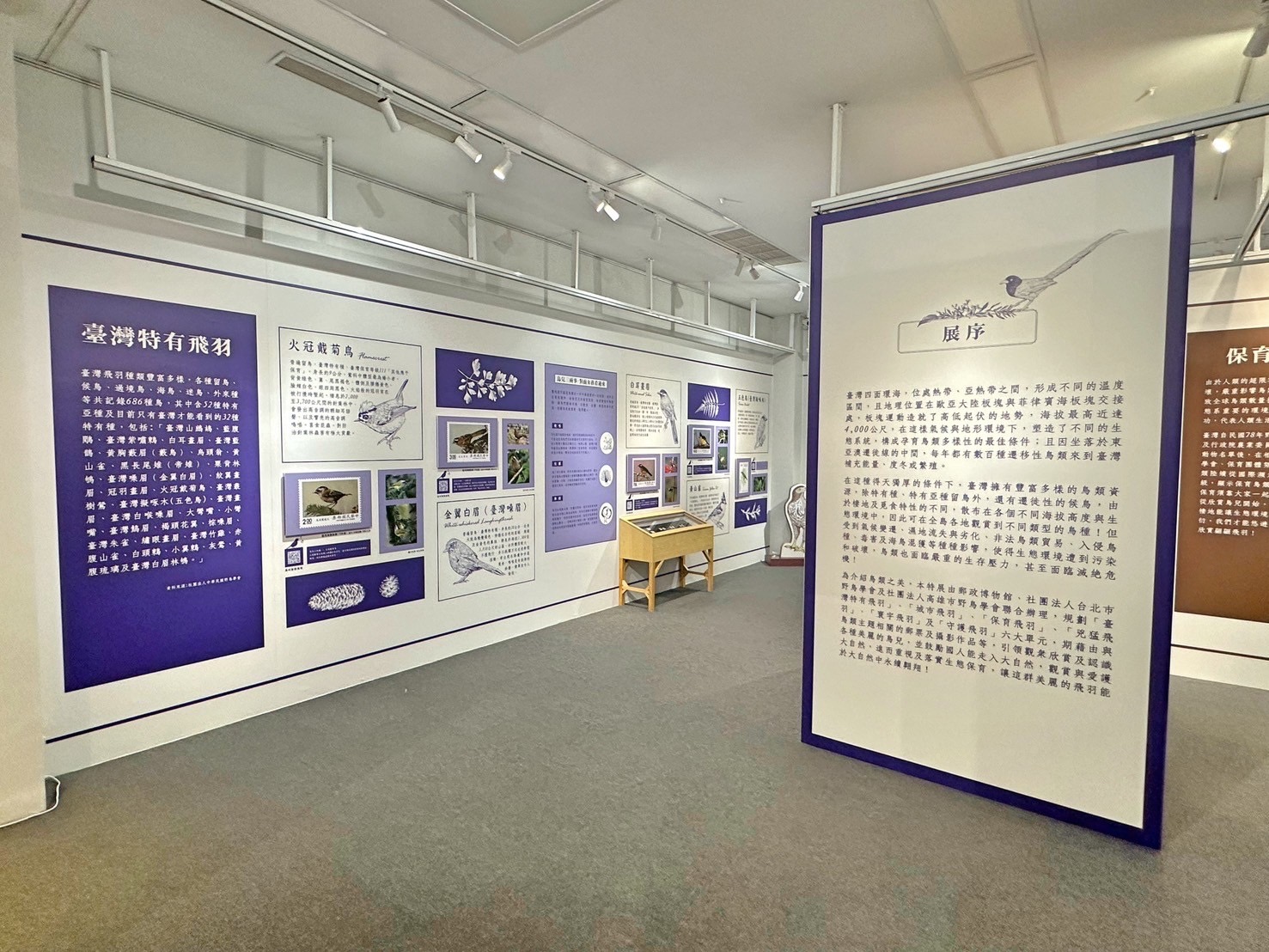 2.Feather Images Postage Stamps Special Exhibition