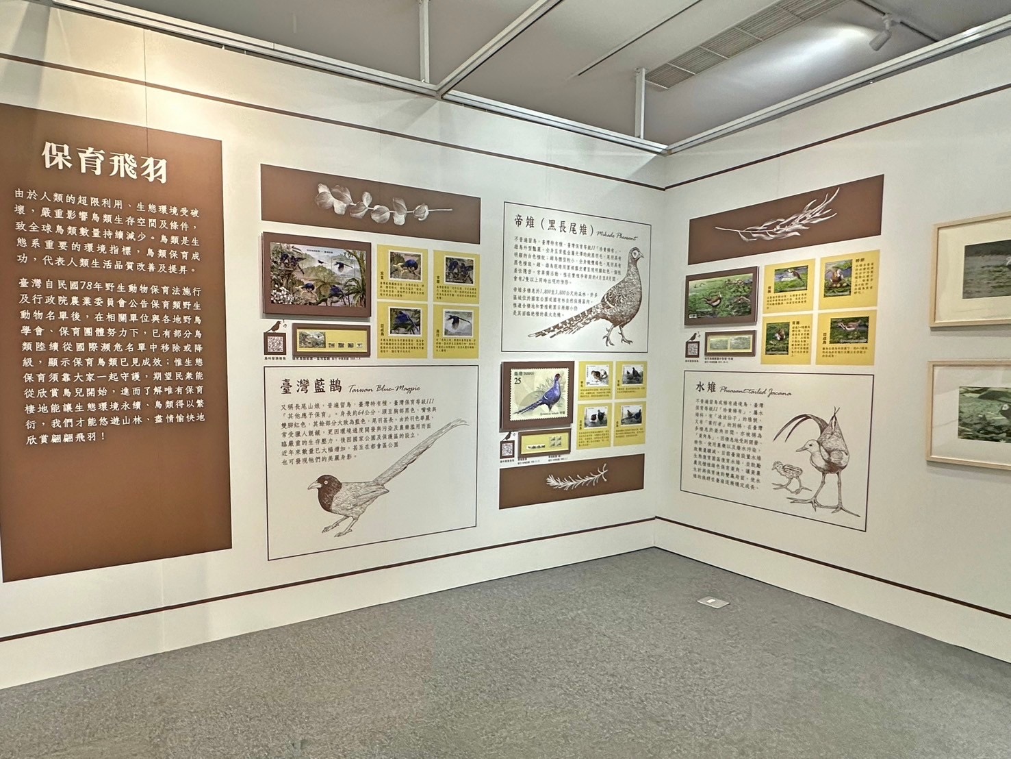 16.Feather Images Postage Stamps Special Exhibition