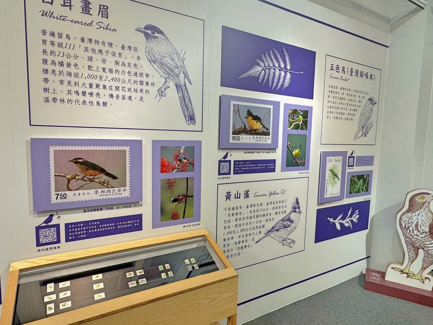 4.Feather Images Postage Stamps Special Exhibition