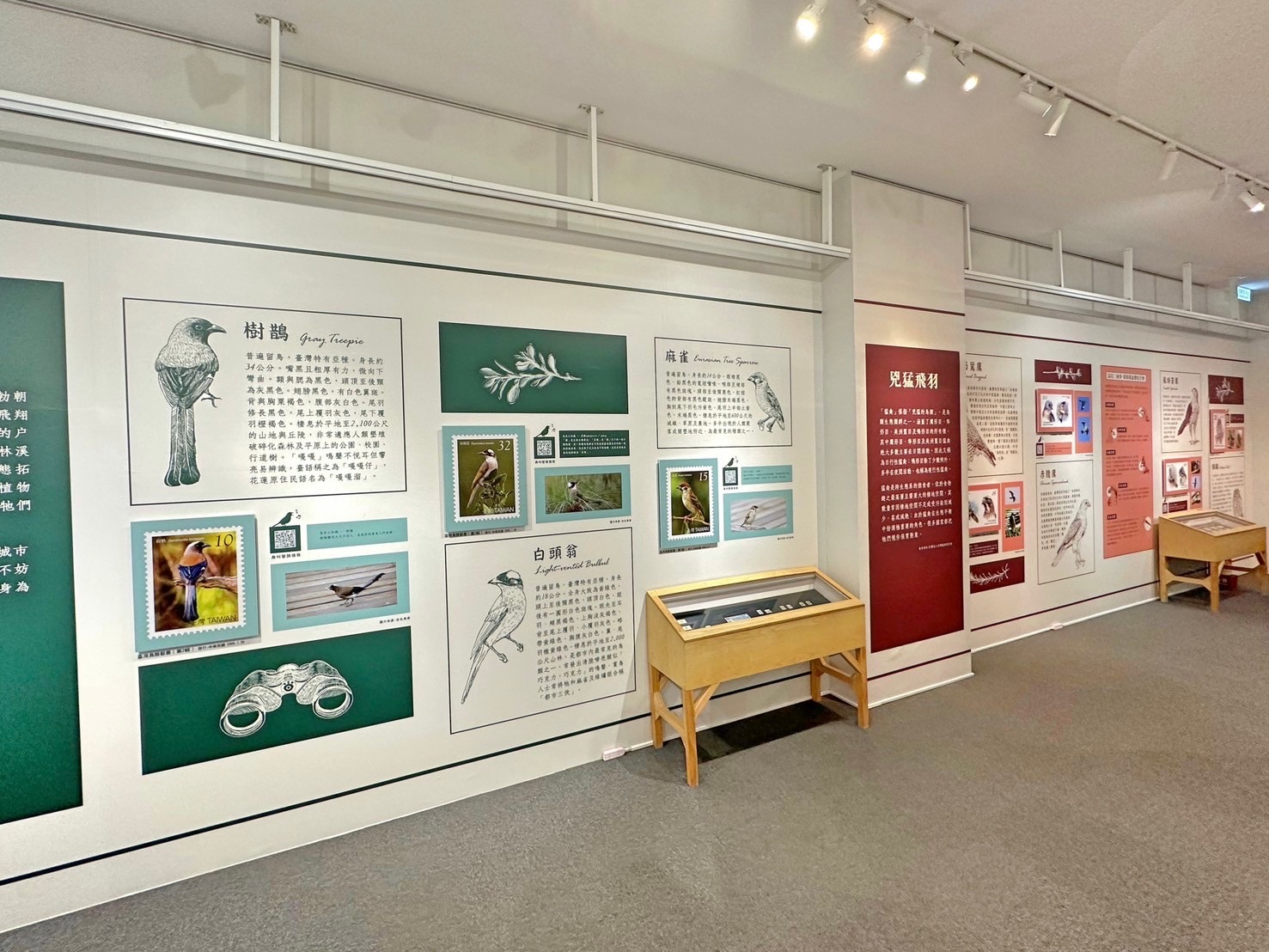 9.Feather Images Postage Stamps Special Exhibition