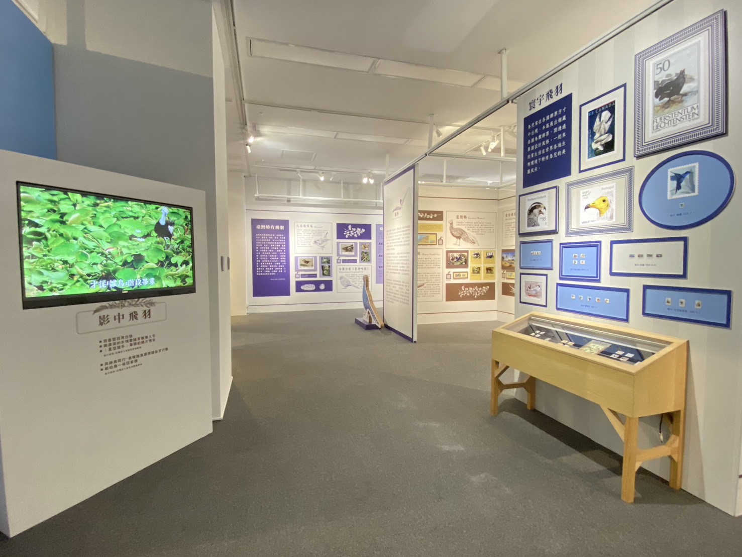 15.Feather Images Postage Stamps Special Exhibition