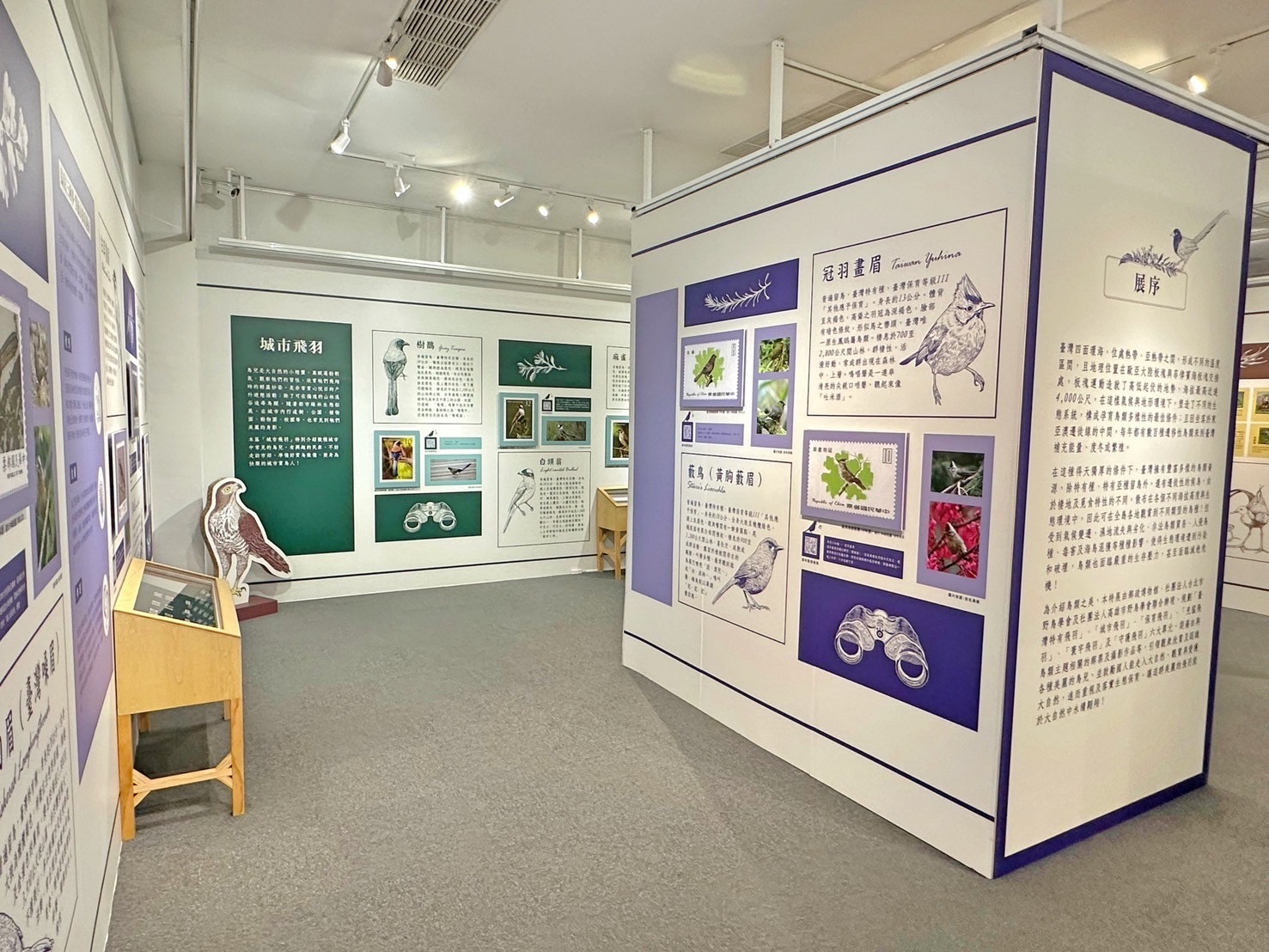 5.Feather Images Postage Stamps Special Exhibition