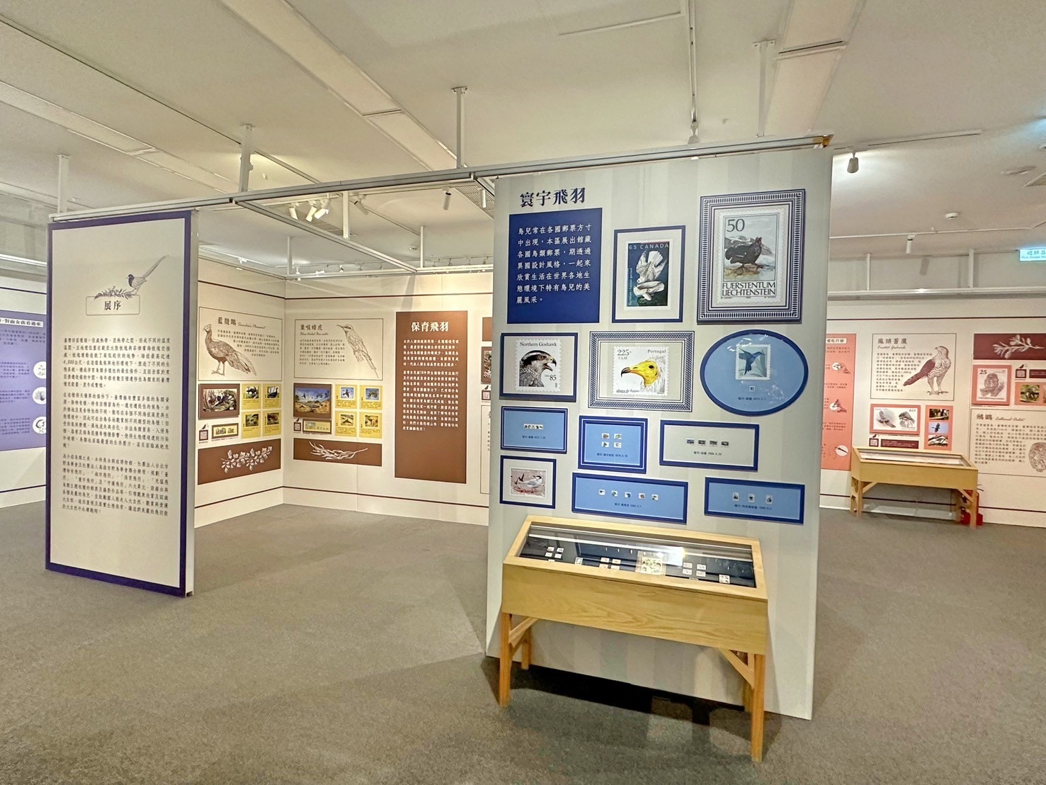 14.Feather Images Postage Stamps Special Exhibition