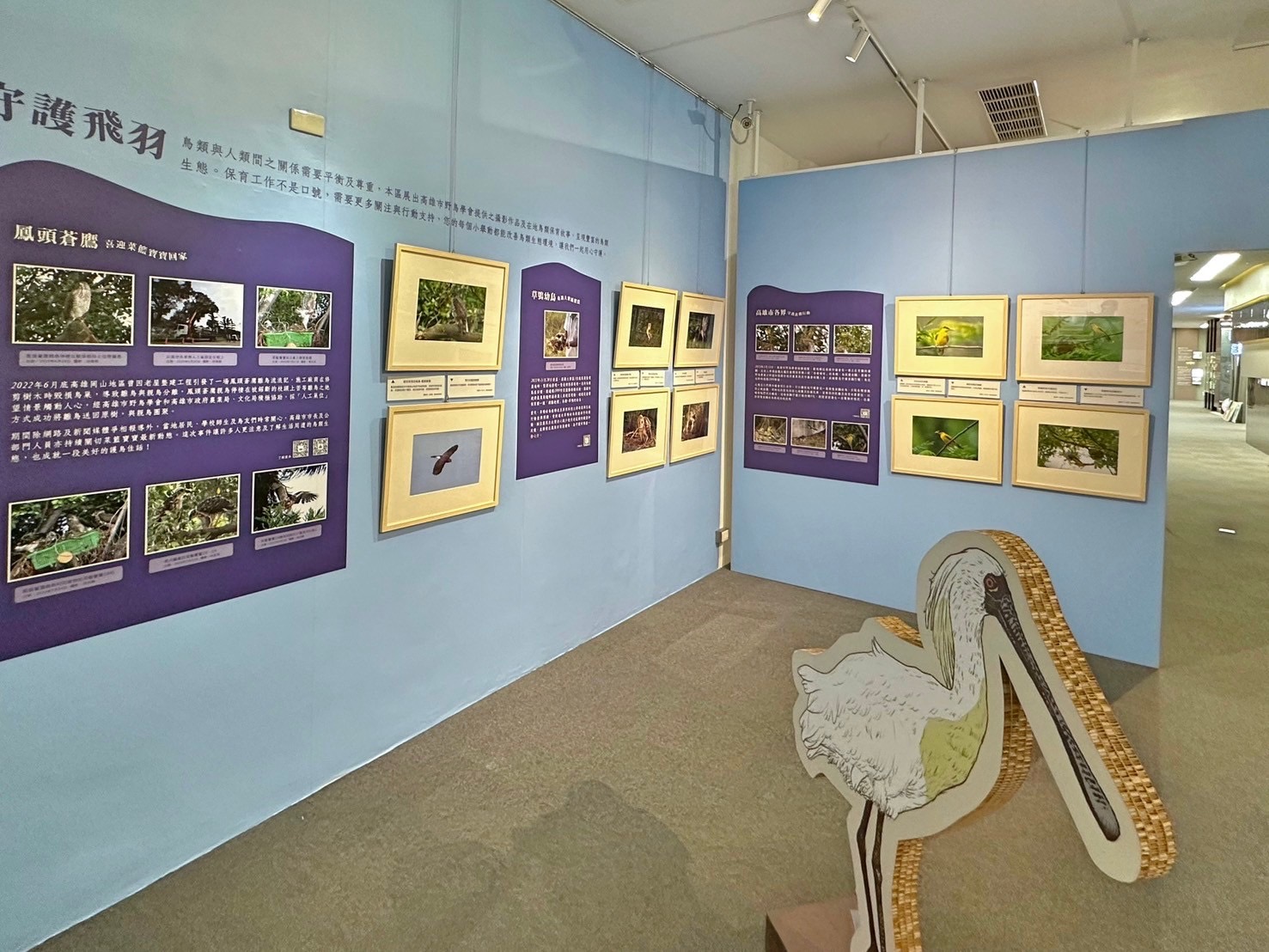 13.Feather Images Postage Stamps Special Exhibition